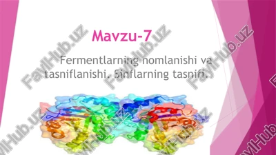 fermentlar — PPTX