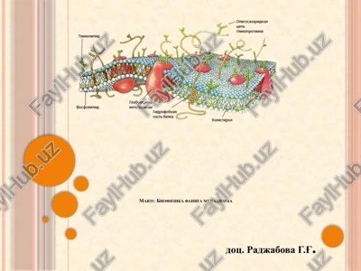 biofizikafanigamukadimma — PPTX