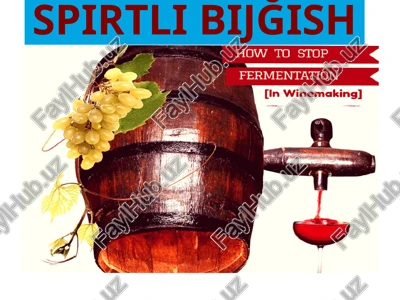 spirtli bijğish — PPTX