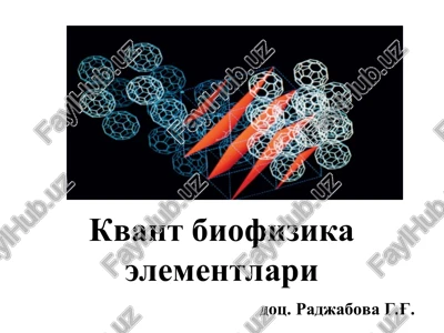 kvant biofizika elementlari — PPT