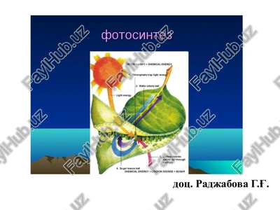 retseptsiya biofizikasi — PPTX