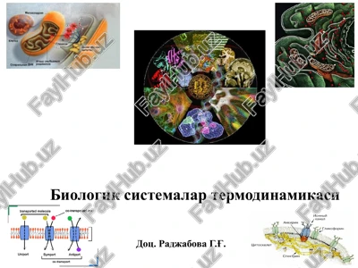 biologik sistemalar termodinamikasi — PPTX