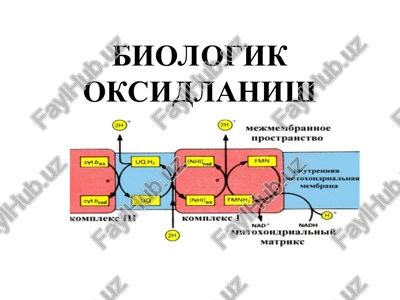 biologik oksidlanish — PPT