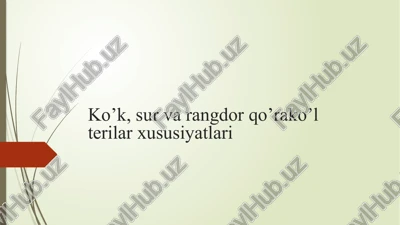 ko’k, sur va rangdor qo’rako’l terilar xususiyatlari — PPTX
