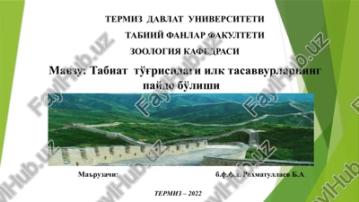 termiz –2022 — PPTX