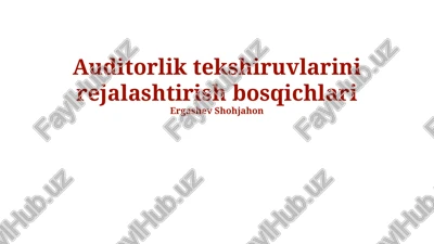 auditorlik tekshiruvlarini rejalashtirish bosqichlari — PPTX