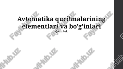 dasturiy ta'minot va algoritmlar — PPTX