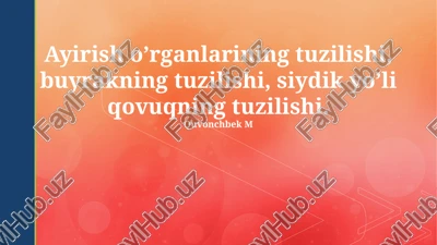 siydik pufagi tuzilishi — PPTX