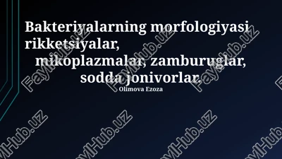 bakteriyalarning morfologiyasi — PPTX