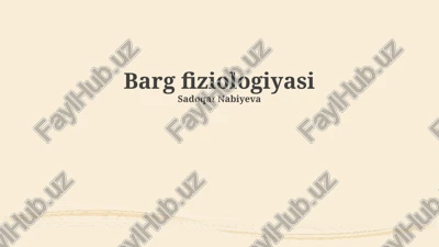 barg fiziologiyasi — PPTX
