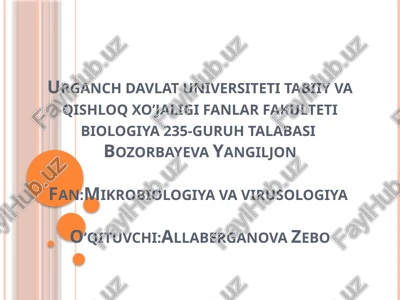 bakteriologik o'g'itlar va ularning qo'llanilishi — PPTX