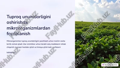 tuproq unumdorligini oshirishda mikroorganizmlardan foydalanish — PDF