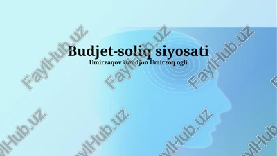 budjet-soliq siyosati — PPTX