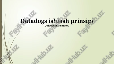 datadog ishlash prinsipi — PPTX