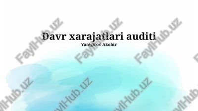 davr xarajatlari auditi — PPTX