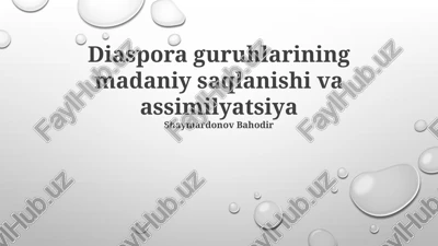 diaspora guruhlari madaniy merosining saqlanishi — PPTX