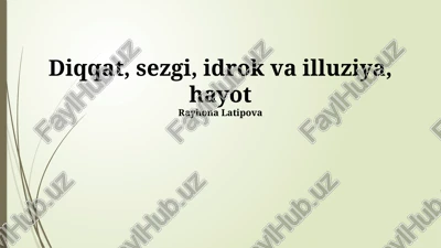 diqqat, sezgi, idrok va illuziya, hayot — PPTX