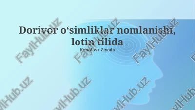 dorivor oʻsimliklar nomlanishi, lotin tilida — PPTX