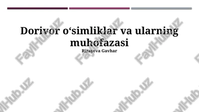 dorivor oʻsimliklar va ularning muhofazasi — PPTX