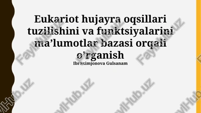 eukariot hujayra oqsillari tuzilish va funktsiyalari — PPTX
