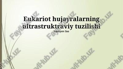 eukariot hujayralarning ultrastruktraviy tuzilishi — PPTX