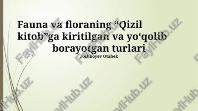 qizil kitob — PPTX