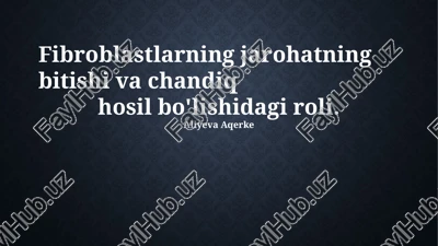 fibroblastlarning jarohatning bitishi va chandiq hosil bo'lishidagi roli — PPTX