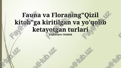 qizil kitob — PPTX