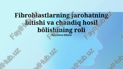 fibroblastlarning jarohatning bitishi va chandiq hosil bôlishining roli — PPTX