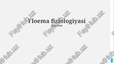 floema fiziologiyasi — PPTX