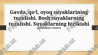 qo'l va oyoq suyaklarining tuzilishi — PPTX