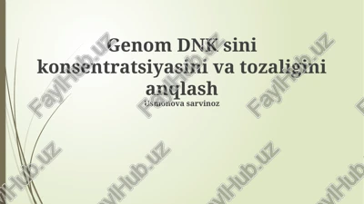 dnk konsentratsiyasi va tozaligi — PPTX