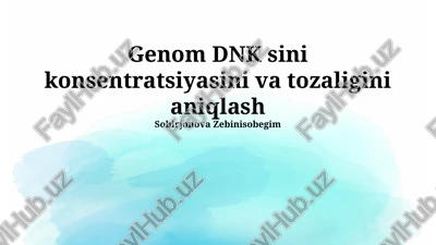 dnk miqdorini aniqlashning boshqa usullari — PPTX