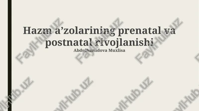 hazm a’zolarining prenatal va postnatal rivojlanishi — PPTX