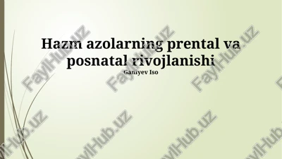 hazm azolarning prental va posnatal rivojlanishi — PPTX