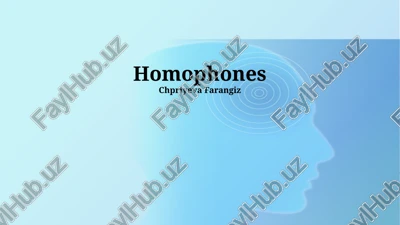 homophones — PPTX