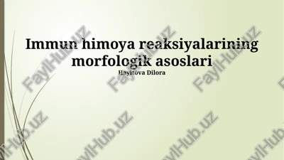 immun himoya reaksiyalarining morfologik asoslari — PPTX