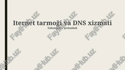 iternet tarmoği va dns xizmati — PPTX