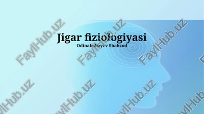 jigar fiziologiyasi — PPTX