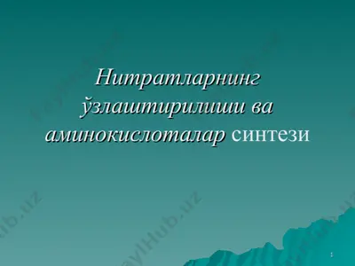 нитратларнинг ўзлаштирилиши ва аминокислоталар синтези — PPT