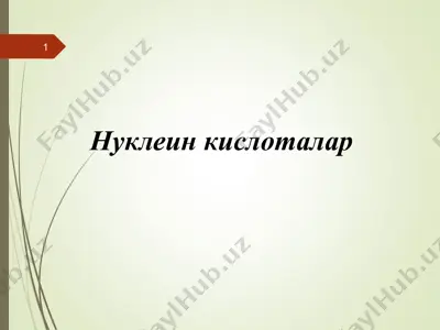 нуклеин кислоталар — PPT