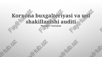 buxgalteriya hisobining asosiy tamoyillari — PPTX