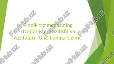 kindik tizimchasining rivojlanishi tuzilishi va vazifalari — PPTX