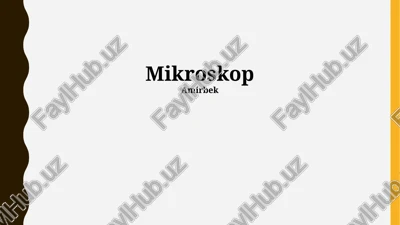 mikroskop — PPTX