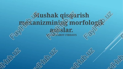 sarkomerning tuzilishi va vazifasi — PPTX