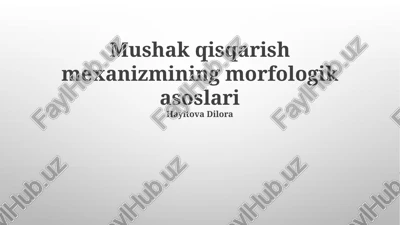 mushak qisqarish mexanizmining morfologik asoslari — PPTX