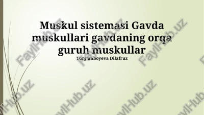 multifidus mushagi — PPTX