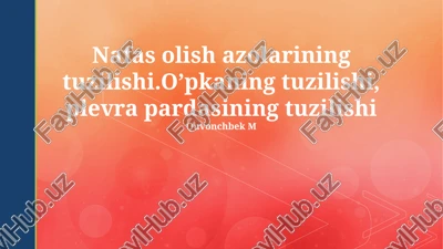 nafas olish azolarining tuzilishi — PPTX