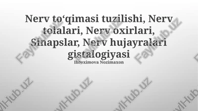 nerv tolalari — PPTX