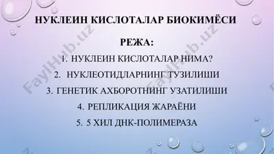 нуклеин кислоталар биокимёси — PPTX